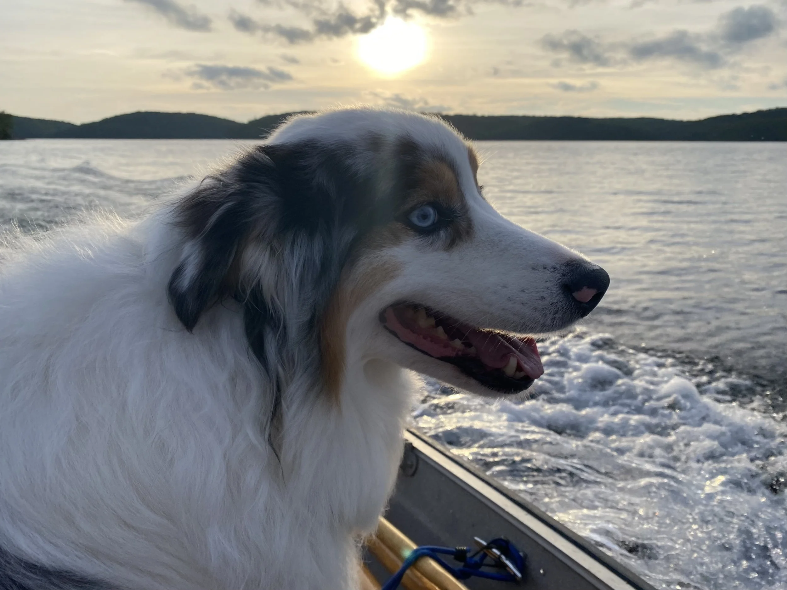 Boat Ride!