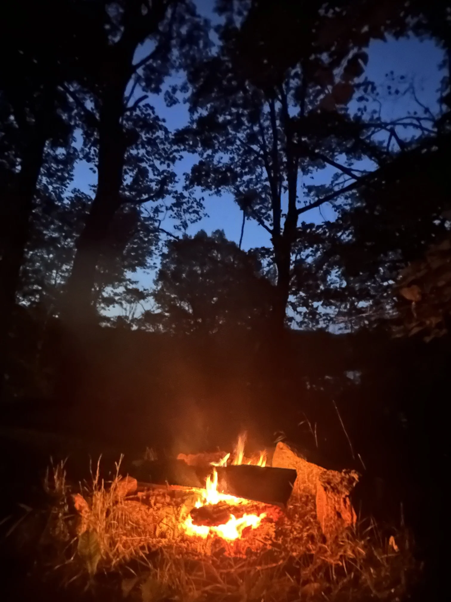 Flames and Silhouettes