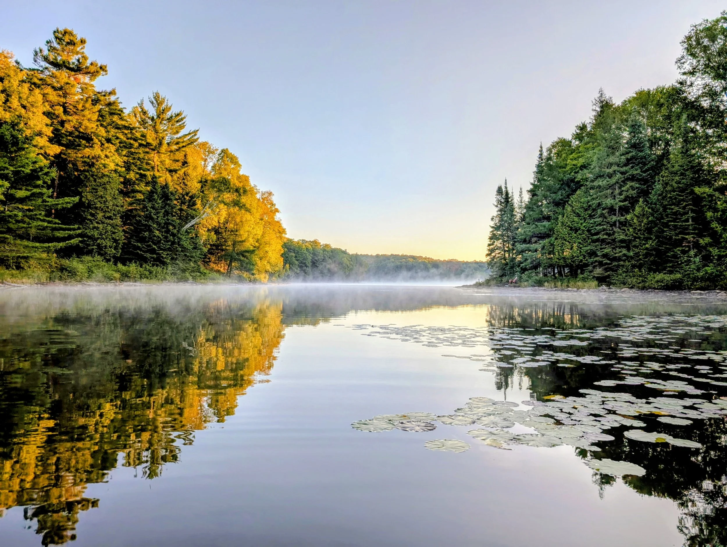 Between Summer and Fall