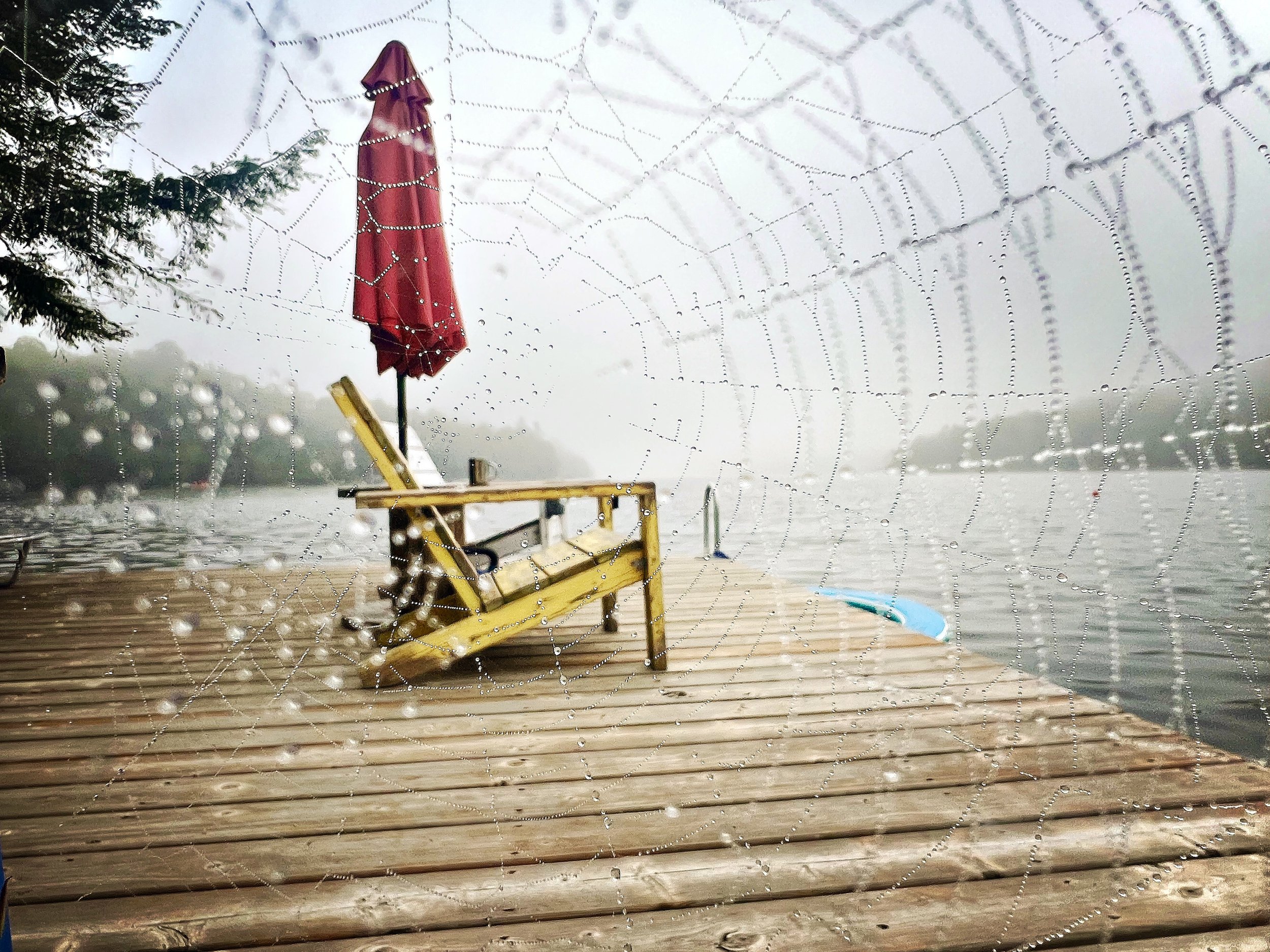 **Spider's Eye View**