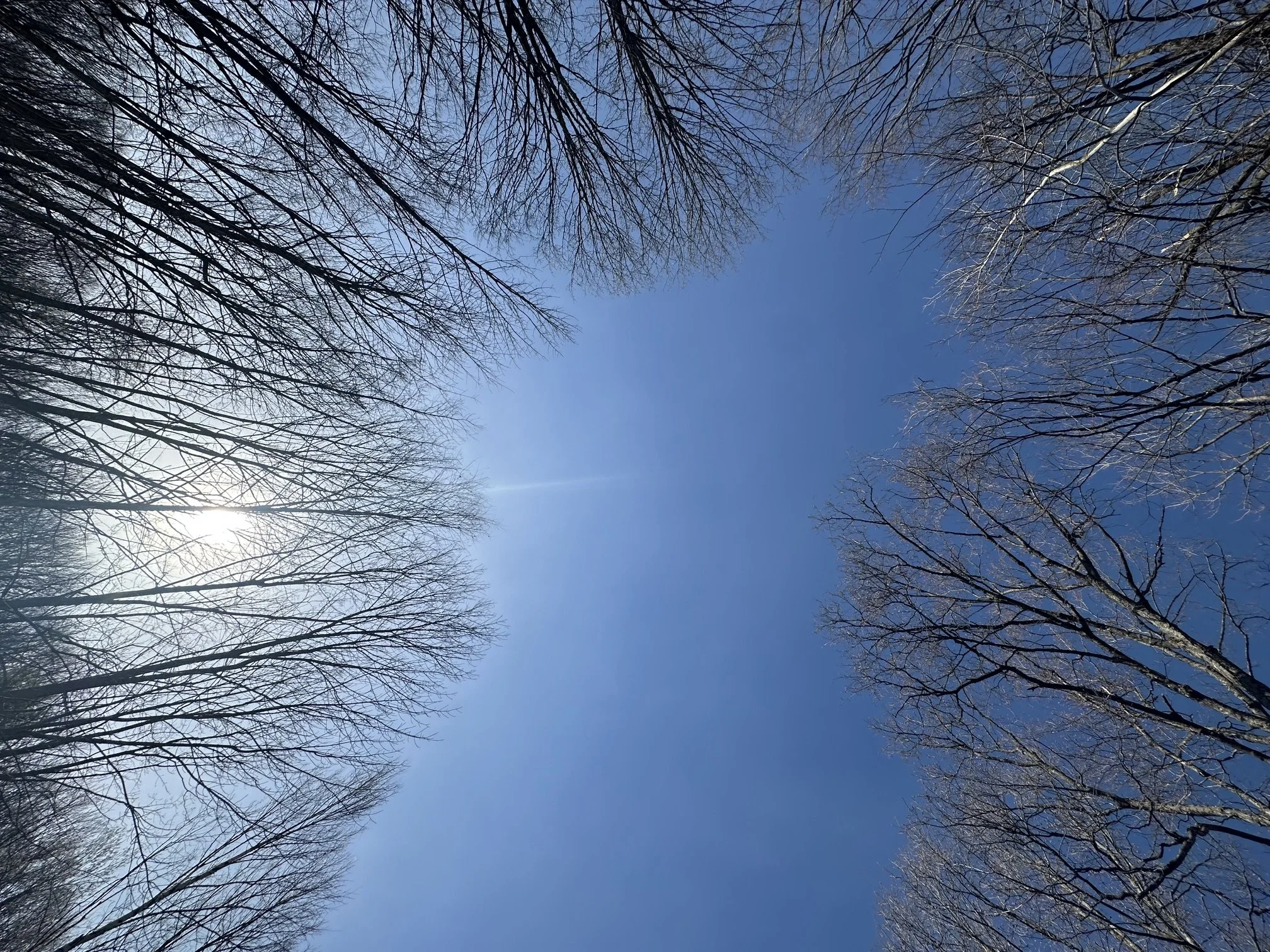 Look Skyward