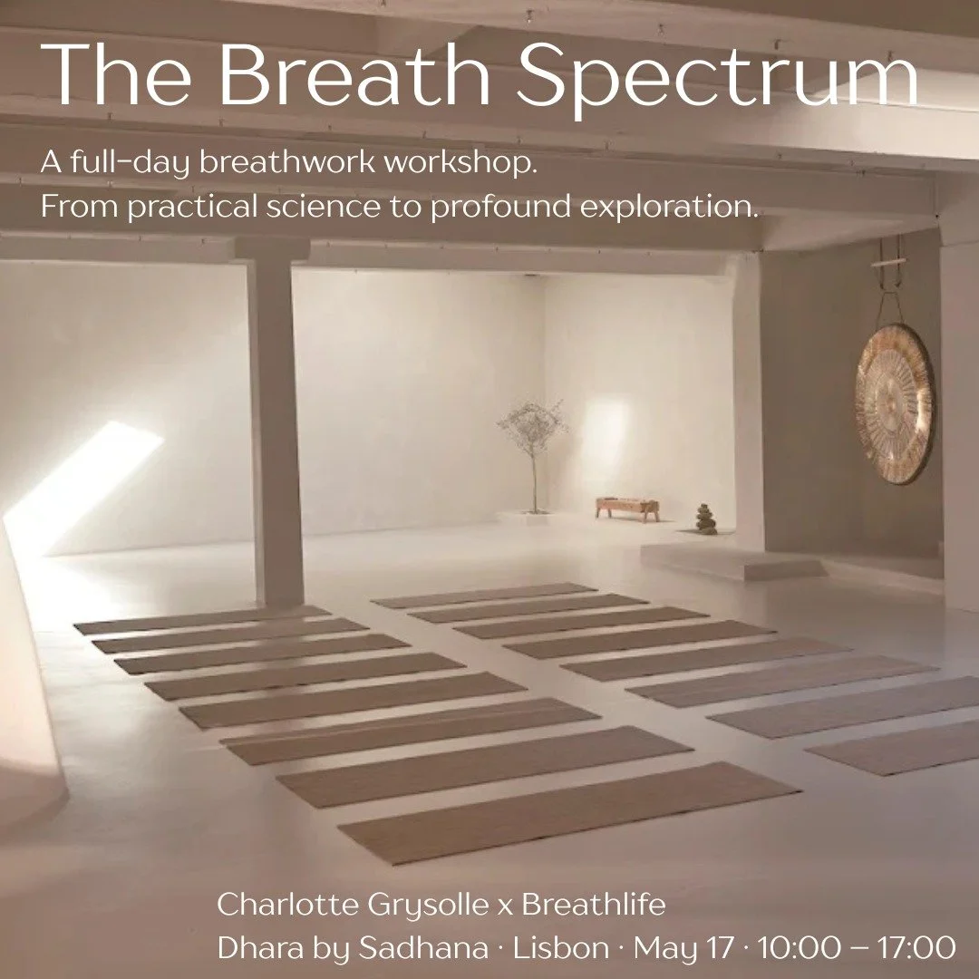 Very happy to finally organise a Full Day Breathwork workshop again!

The Breath Spectrum

A full-day breathwork workshop in Lisbon.
From practical science to profound exploration.

Together with @charlottegrysolle we've put together a fantastic prog