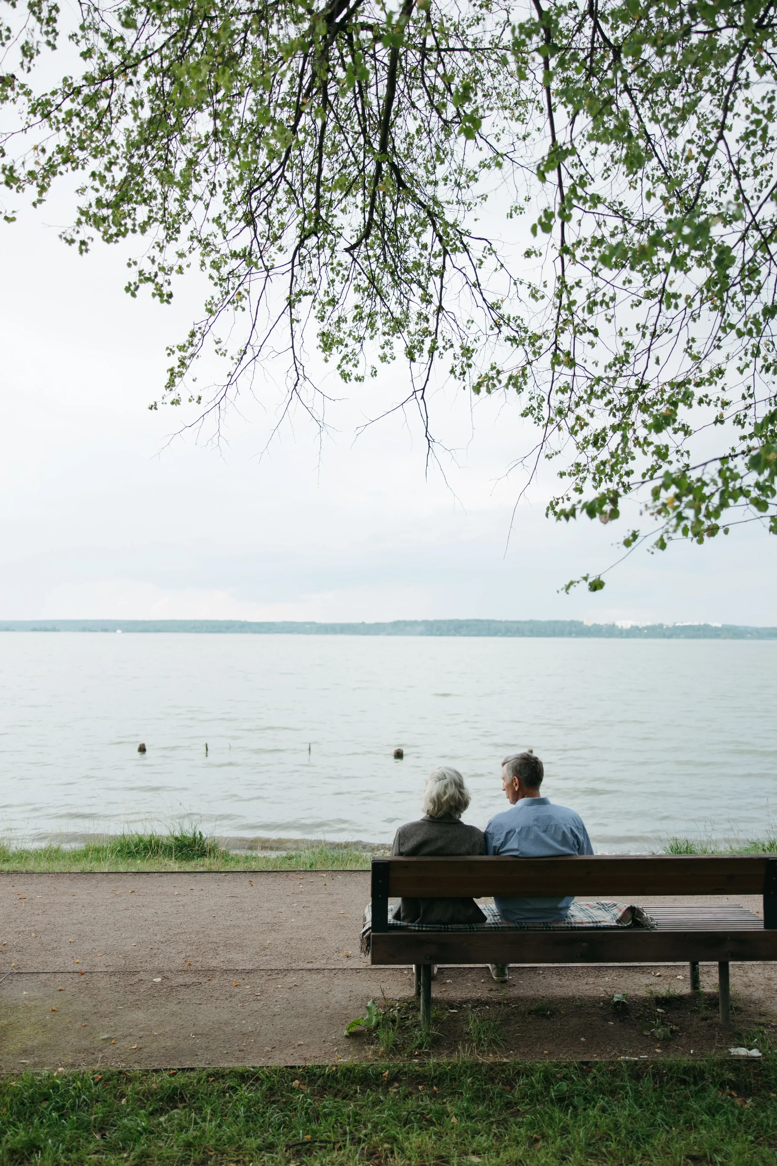 How to Live Longer: 12 Science-Backed Habits for a Healthier, Longer Life