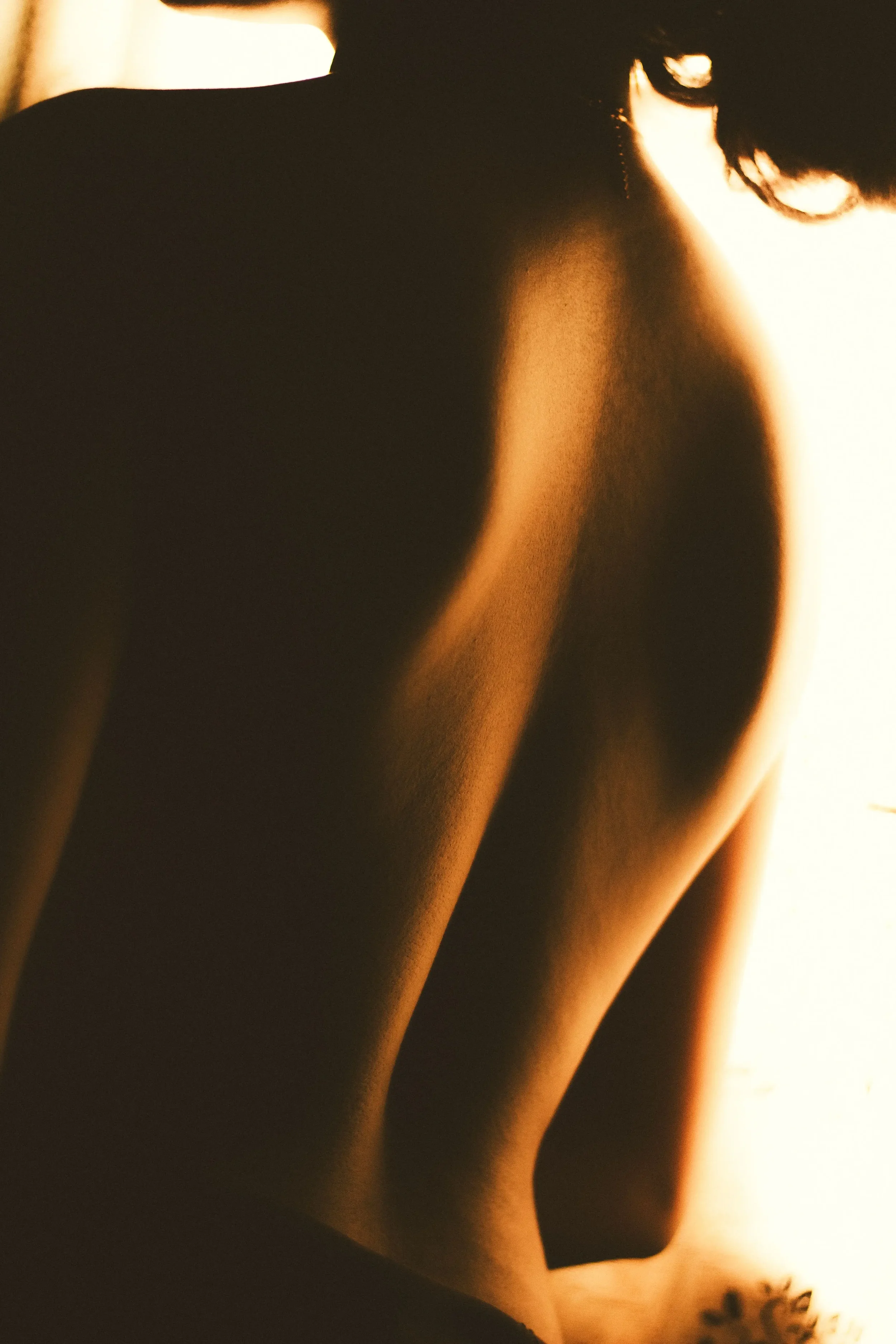 Back Liposuction &amp; Back Contouring in Lebanon | Dr. Nazareth Papazian
