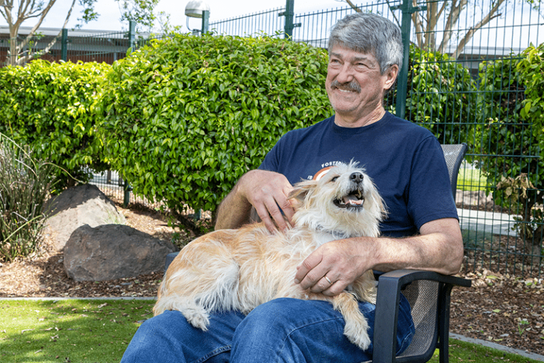 A Chance to Shine: Star's Foxtail Journey