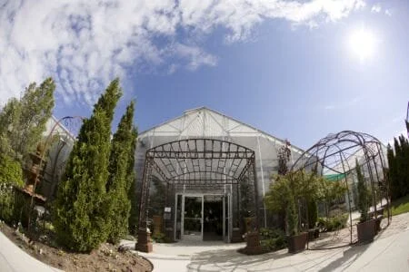 A Featured Wedding at Le Jardin