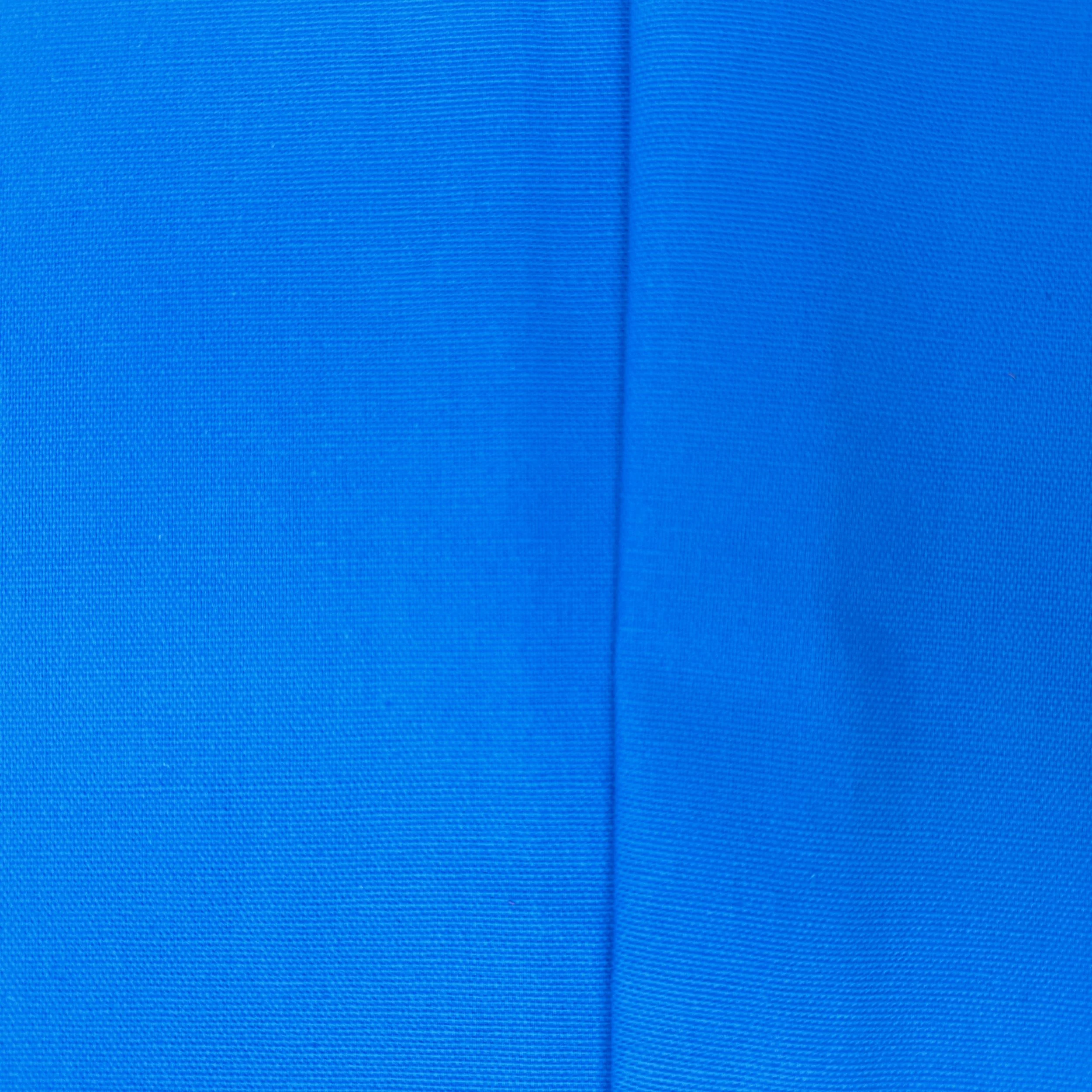 UC 5932 - Blue Aster.JPG