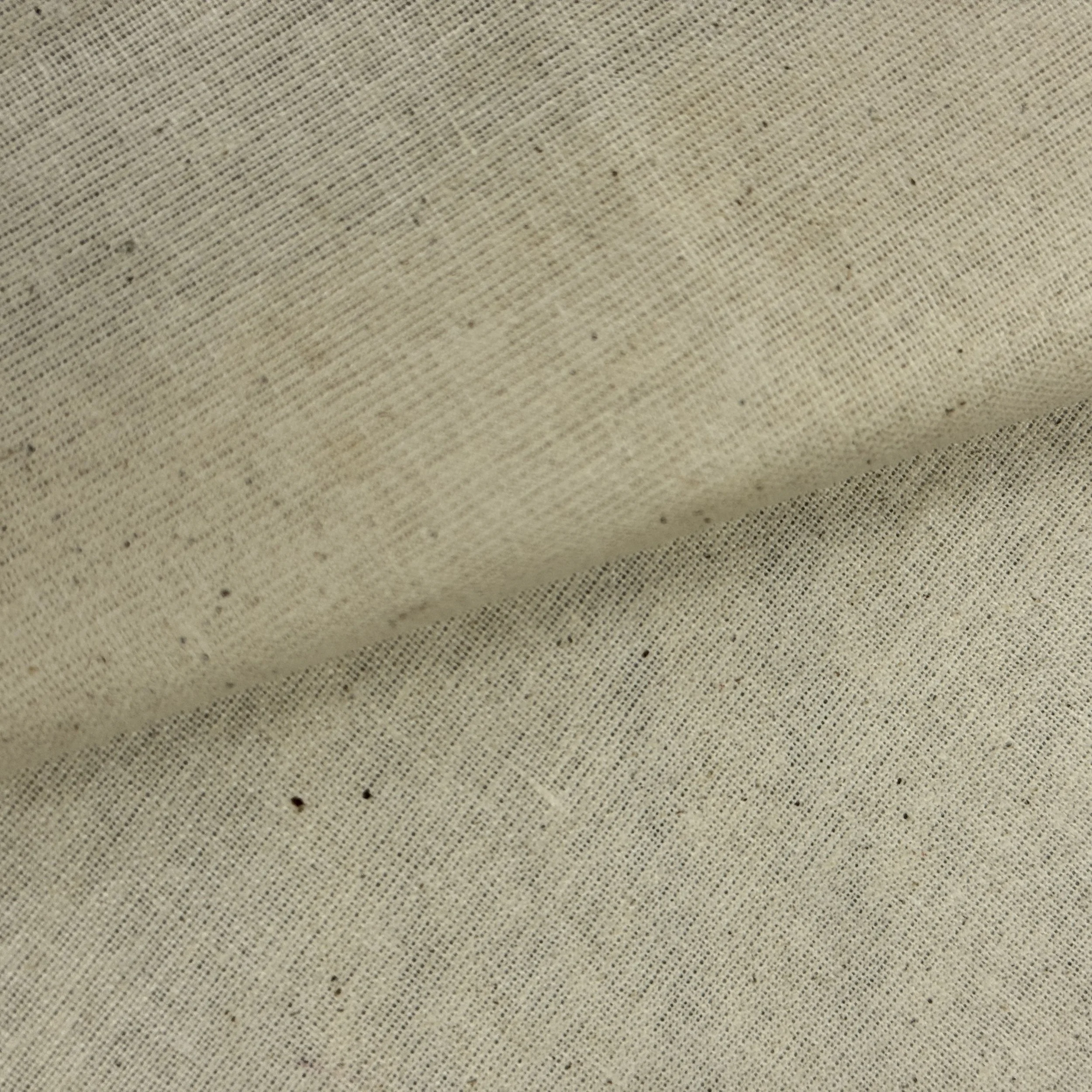 UC 901611 - SUPERIOR CALICO  (4).JPG