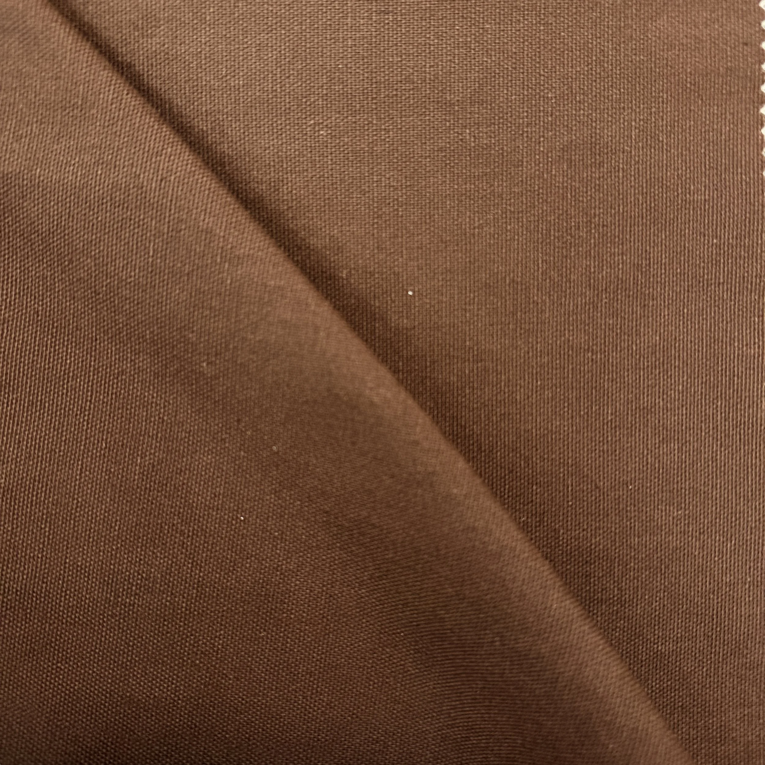 UC 5932 - Chestnut.JPG