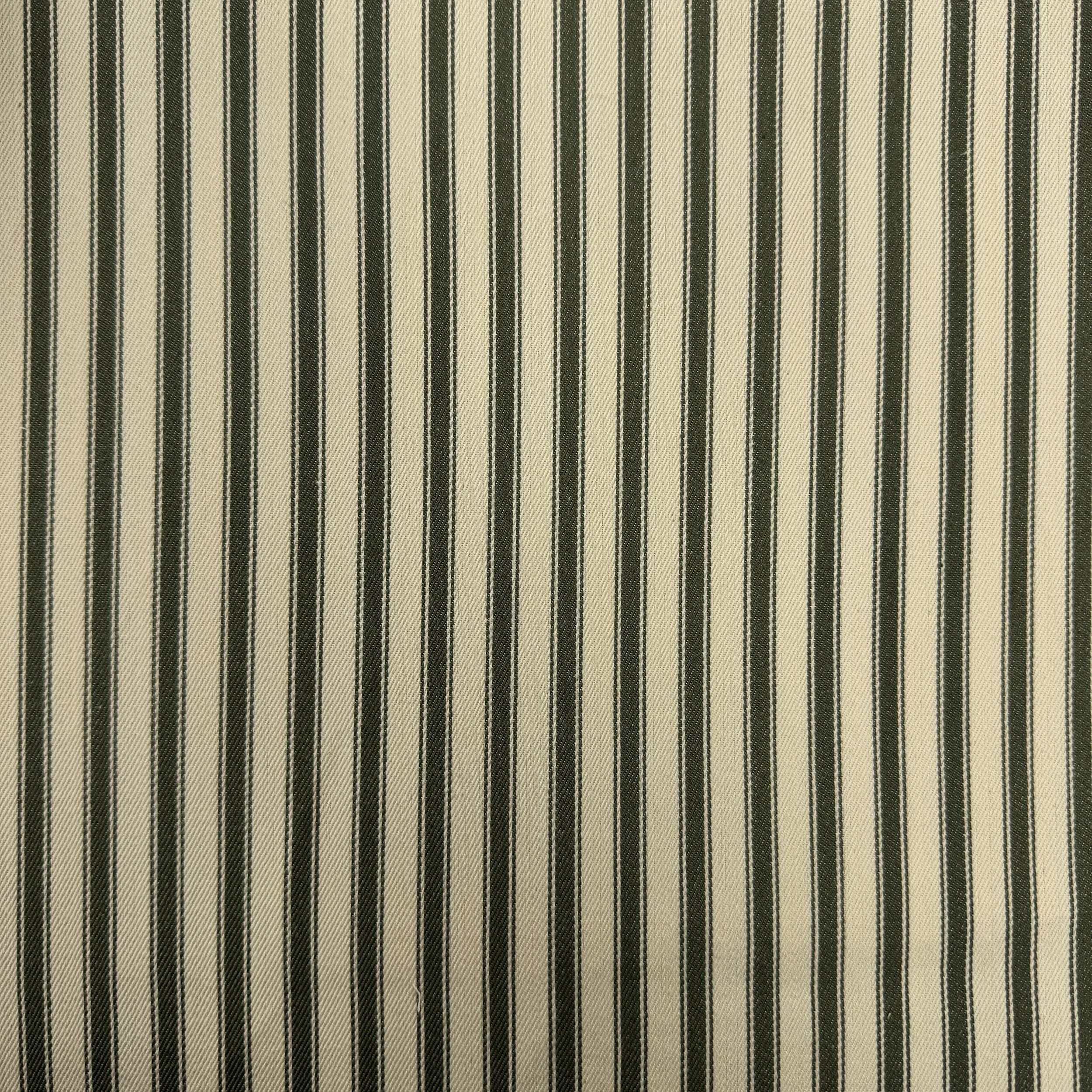 UC 5935 - BRANCH OLIVE.JPG