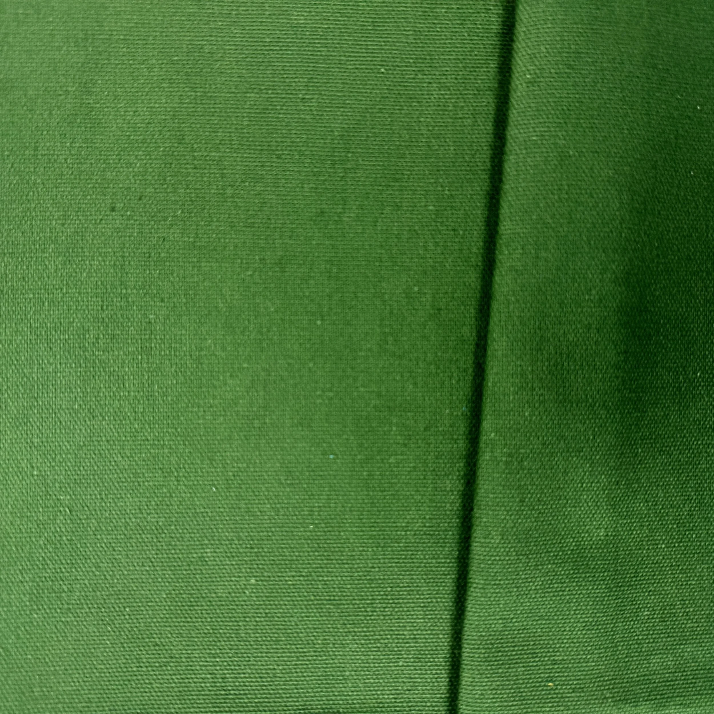 UC 5932 - Kale Green.JPG