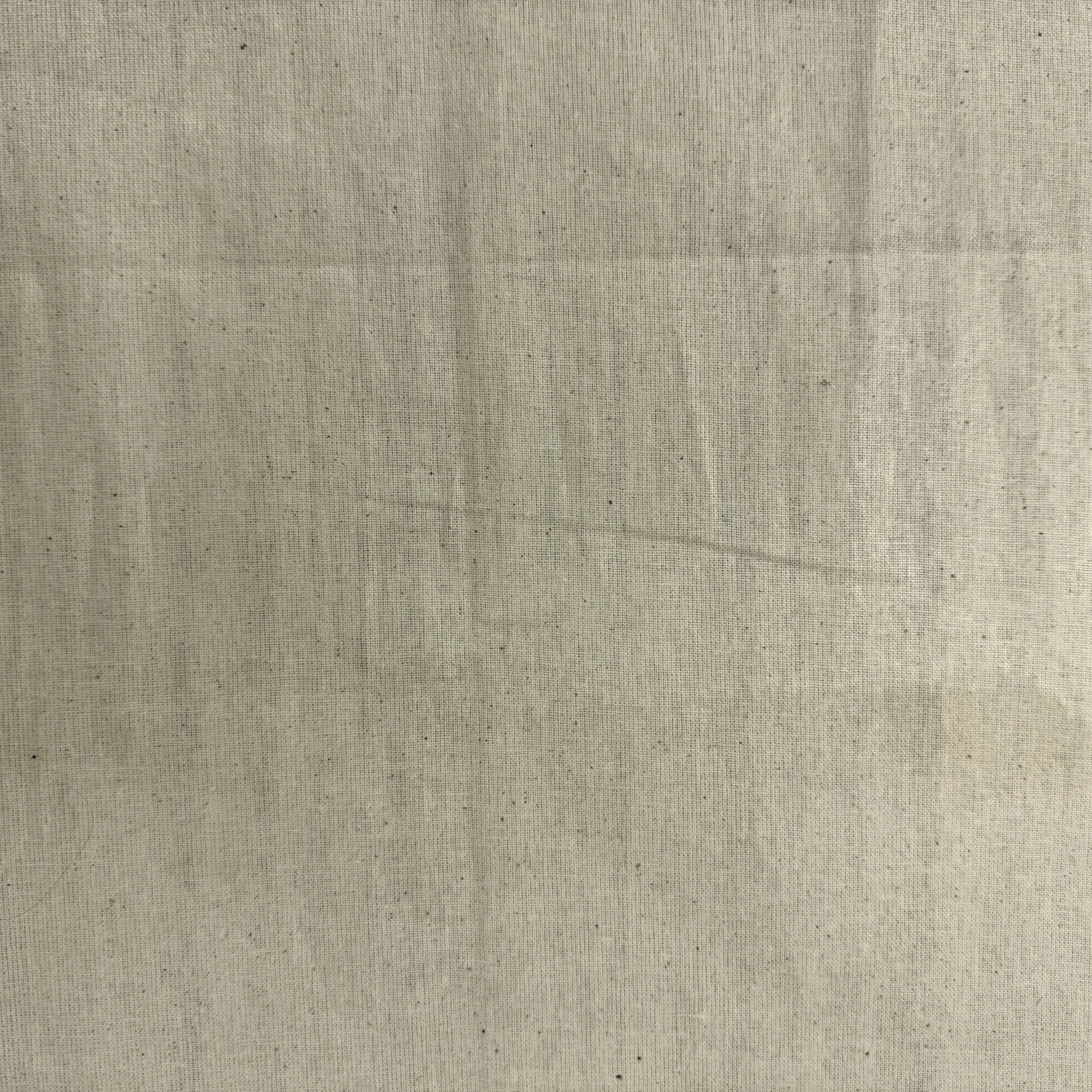 UC 901611 - SUPERIOR CALICO  (3).JPG