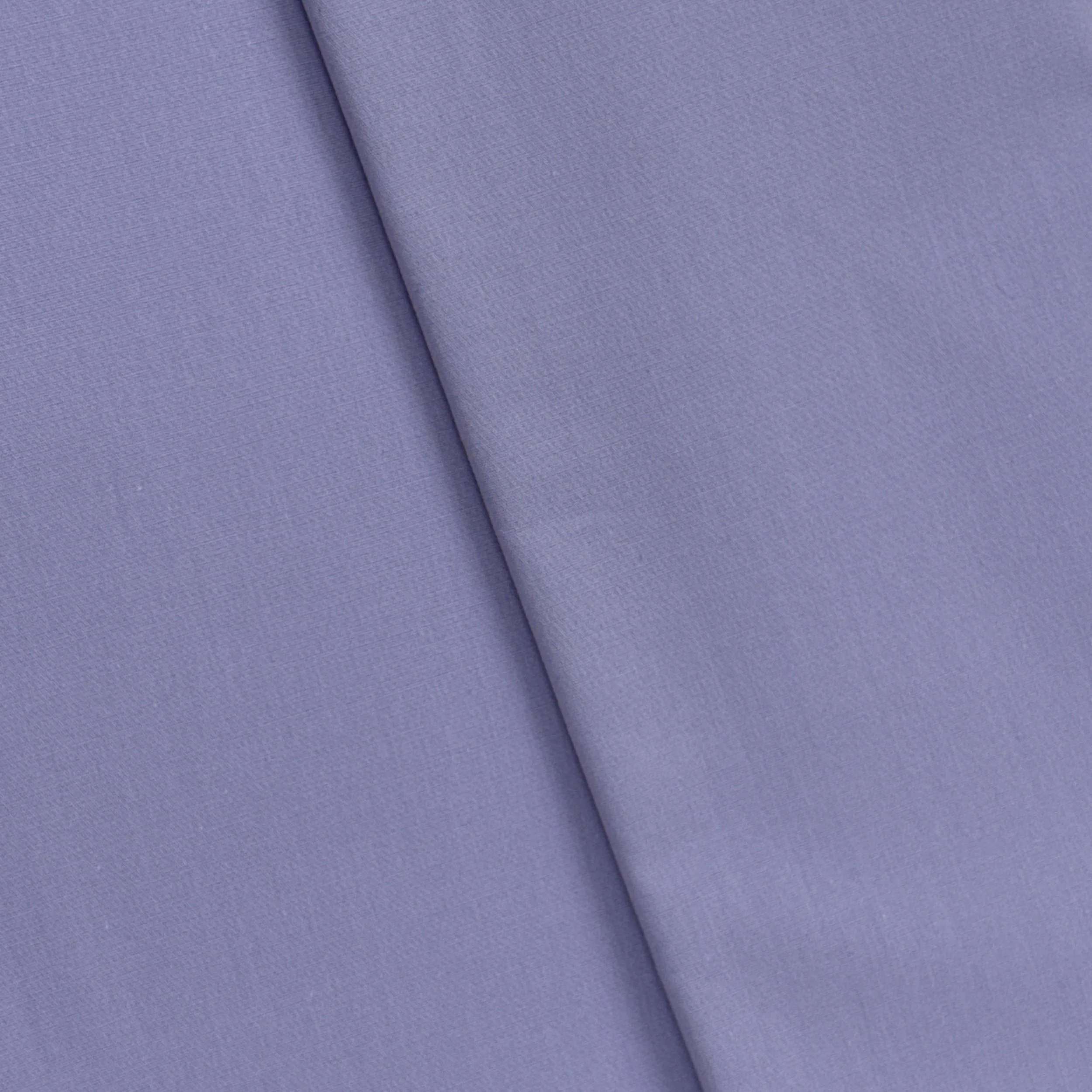 UC 902633 - FROST LAVENDER.JPG