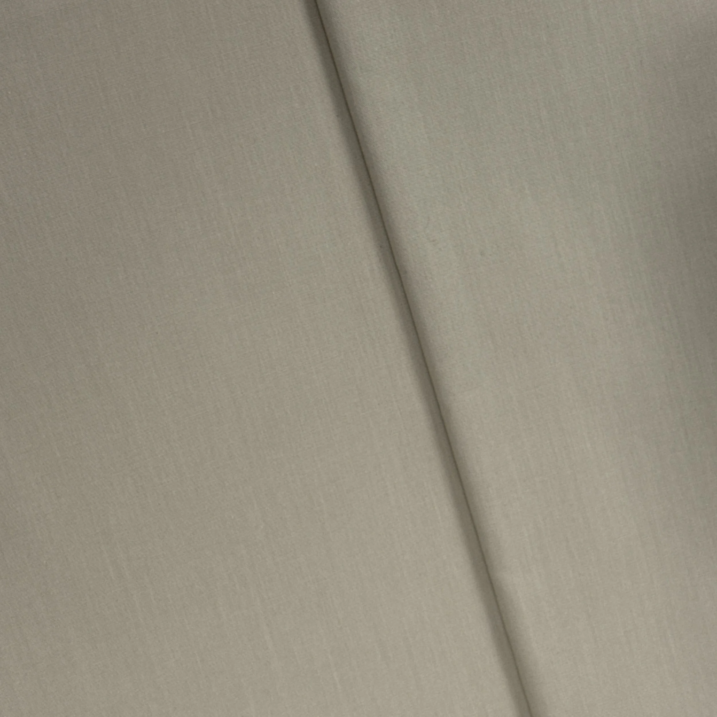 UC 902633 - BIRCH.JPG