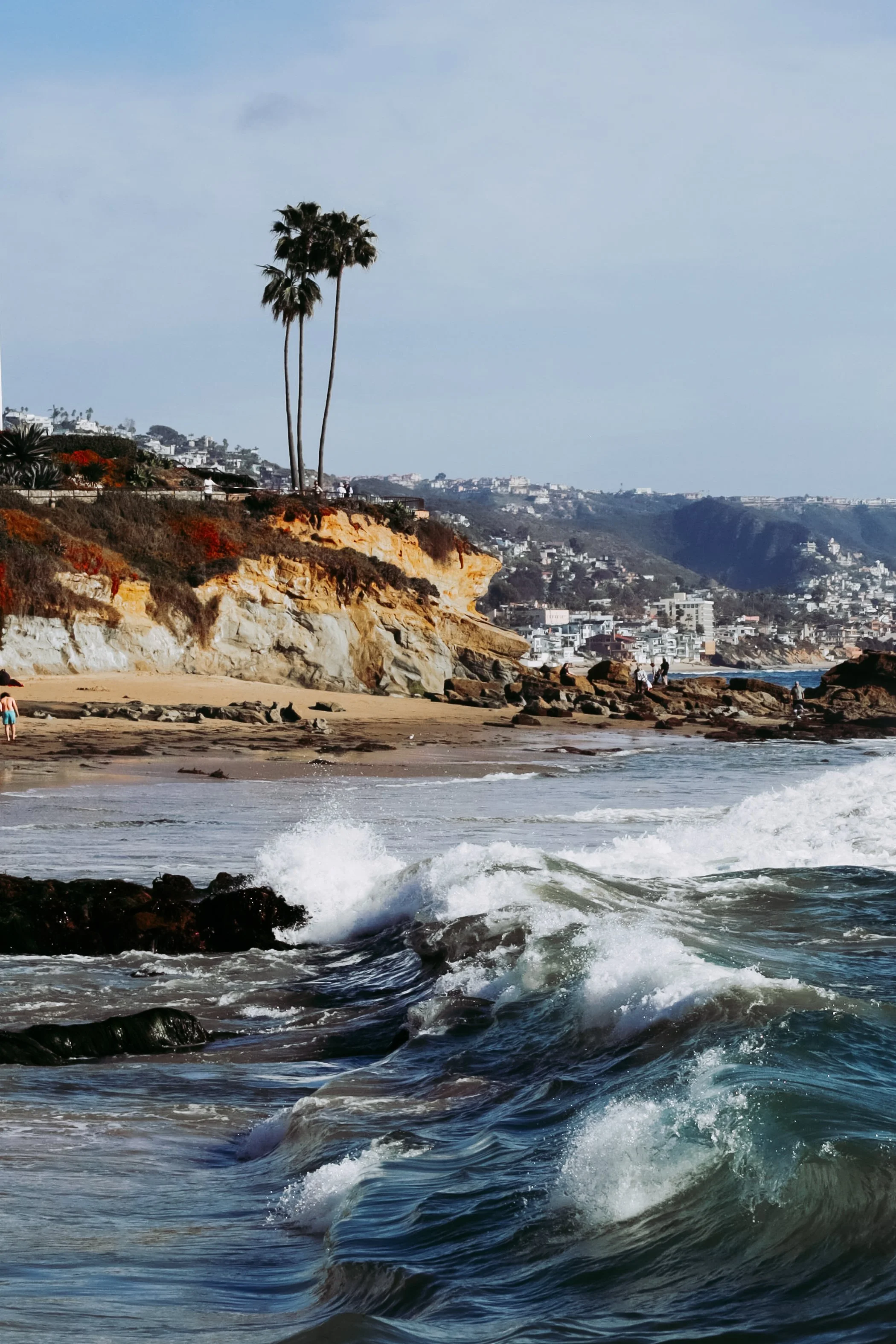 A view of a beach with rocky shoreline, two tall palm trees, colorful bushes, and a hillside with houses in the background under a partly cloudy sky.