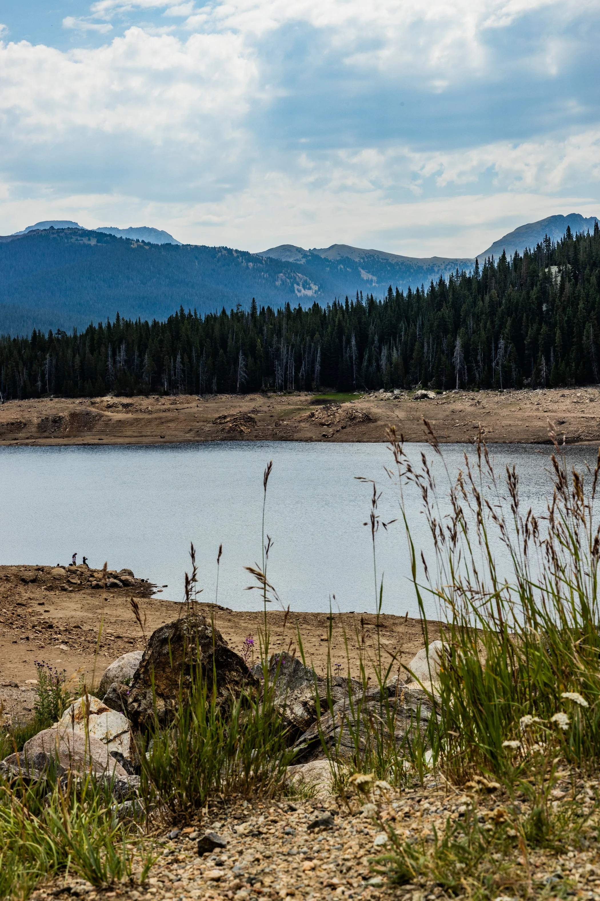 A lake with a rocky and dirt shoreline in the foreground, surrounded by tall grass and wildflowers, with a dense forest of evergreen trees in the middle ground, and mountainous terrain with a partly cloudy sky in the background.