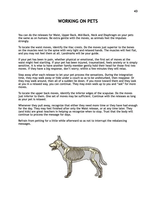 Pg.8 Stud Manual Preview.jpg