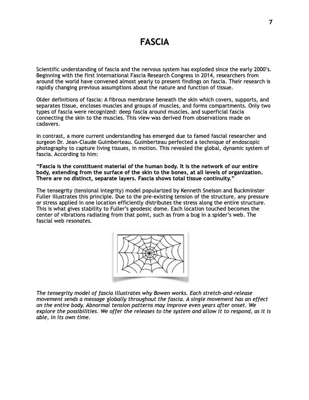 Pg.3 Stud Manual Preview.jpg