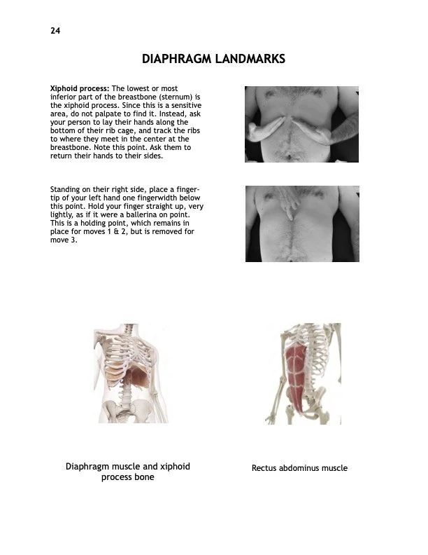 Pg.5 Stud Manual Preview.jpg