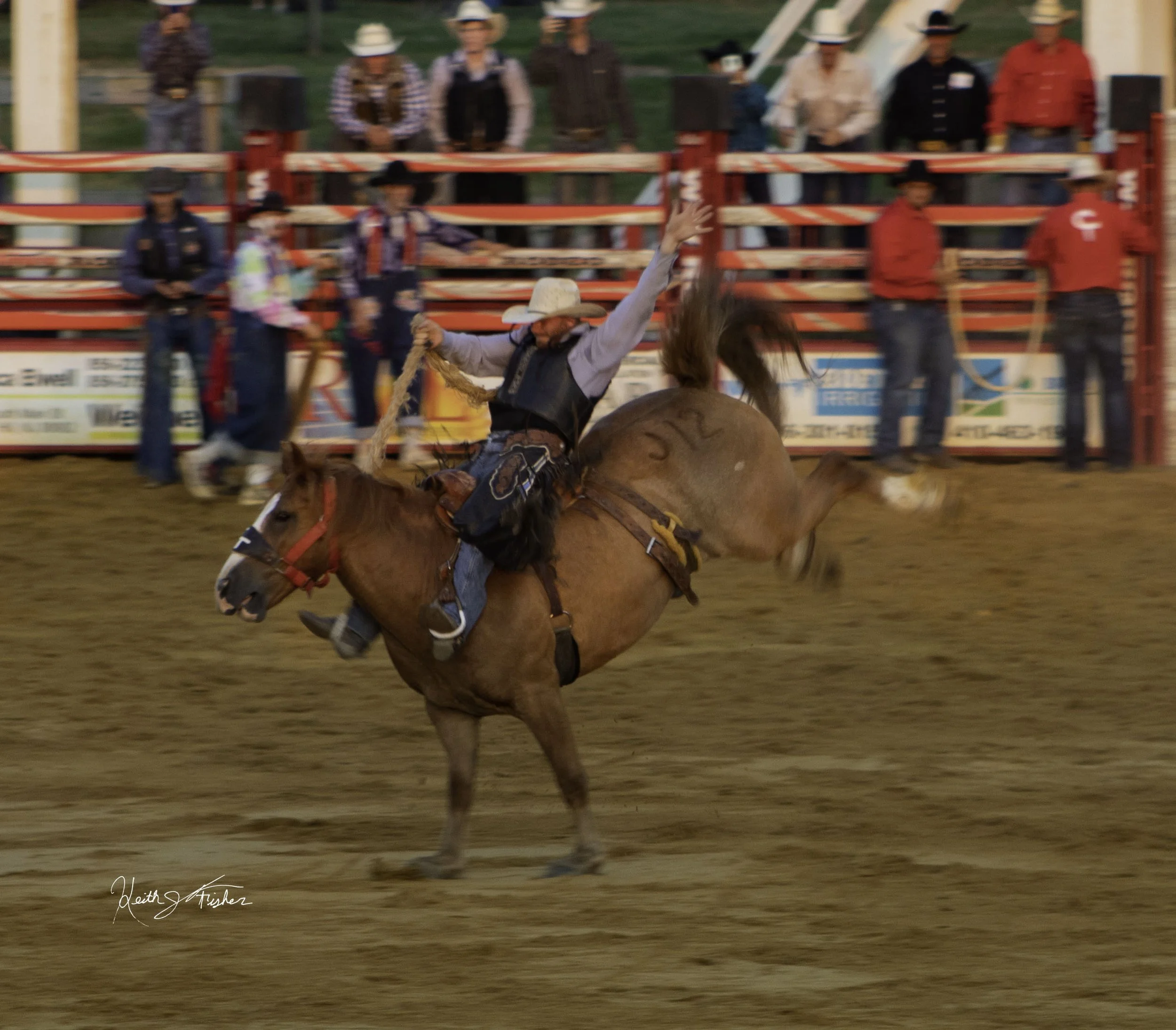 Indoor Show Series (ISS) — Keith J. Fisher.com