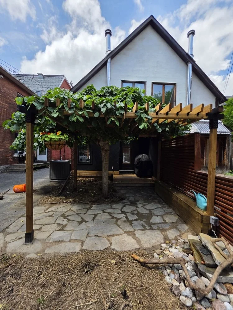 Ottawa garden pergola