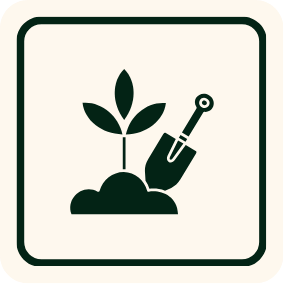 REWILD Landscape Installation