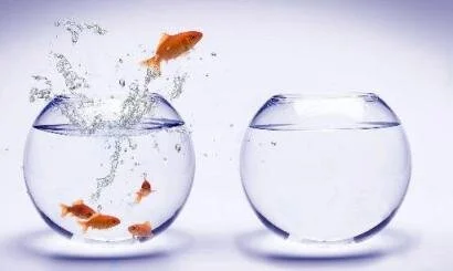 Where the magic happens