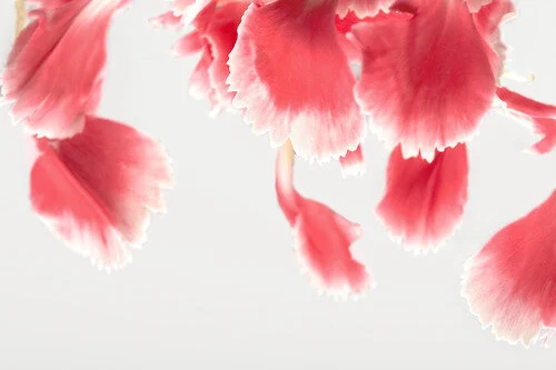 When I knew he was human