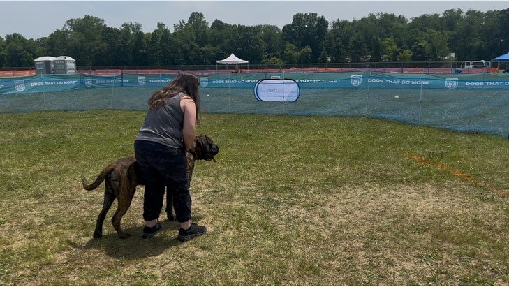 Romboel Boris at his first precision coursing event! I think he has it !! It&rsquo;s so wonderful to get to see my pups periodically as they grow 💓💓. Thank you @greta.loewen.92 for driving all that way to connect!!