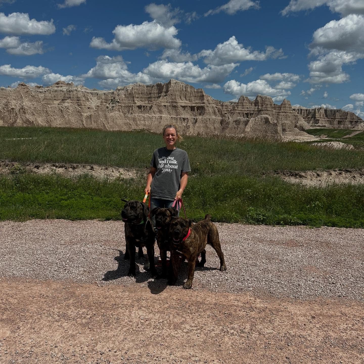 Badlands while the trailer is broke down.