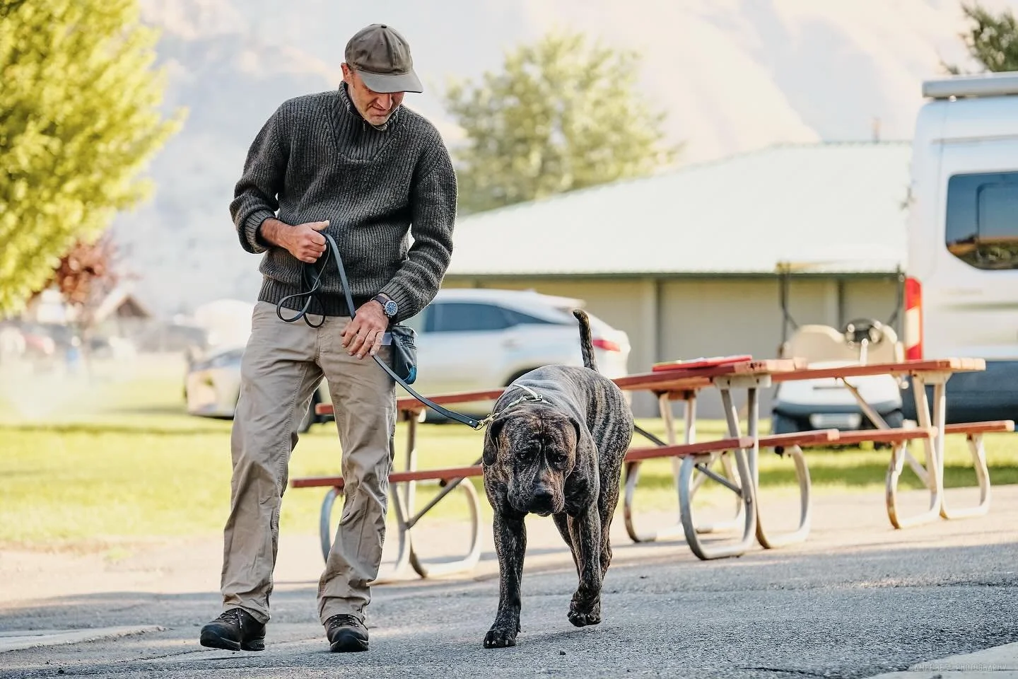 Romboel Vlasic and his handler Brian (dad to @ecco_qui_mal ) at Cashmere AKC Nosework 2025 p2.

Photographer is @campfiredogphotography 💓