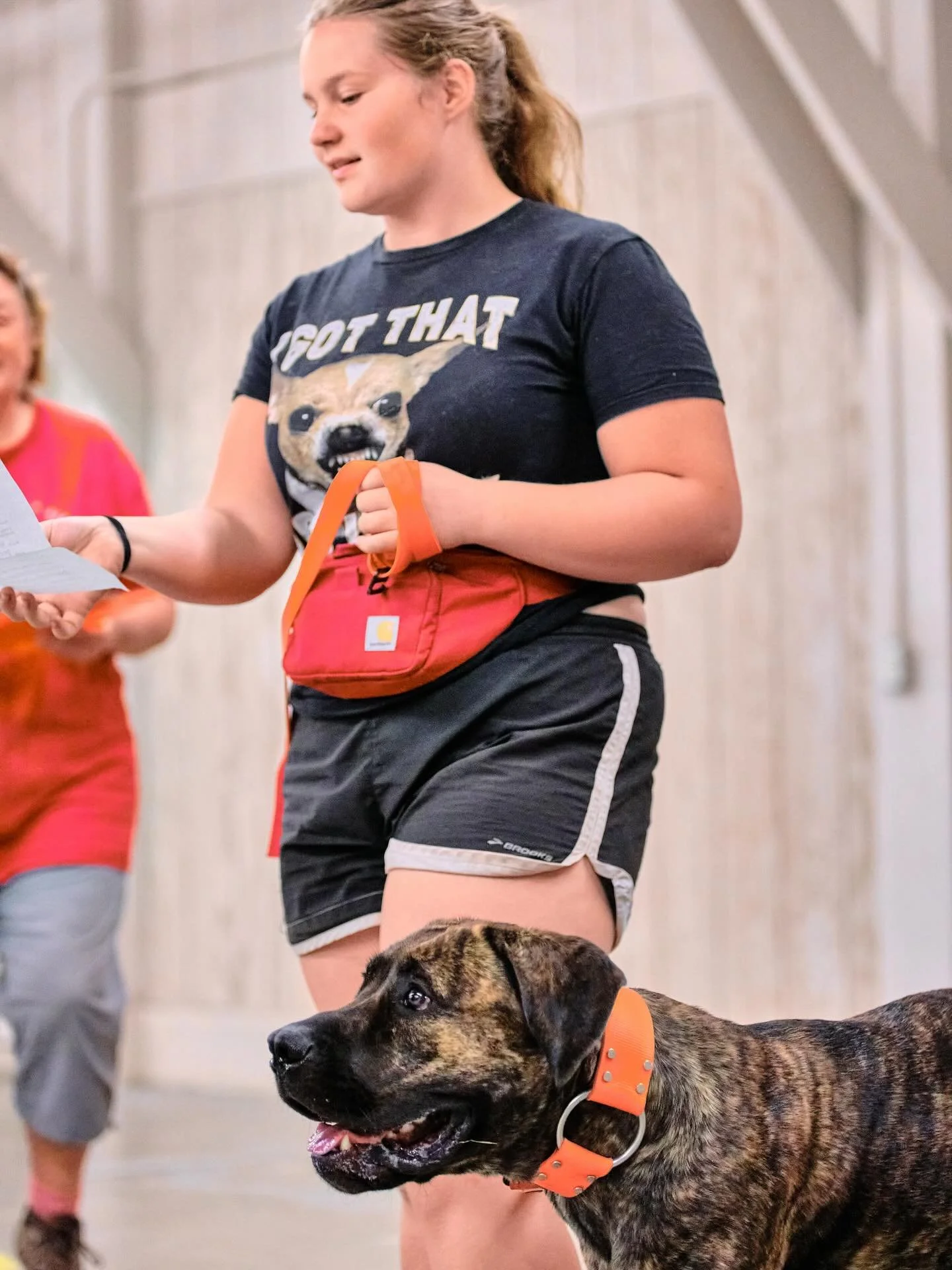 @melyssa_edwards shirt has me cracking up! As she carries her junior handler paperwork for her Q with Vinci! 

Photographer @campfiredogphotography 💓