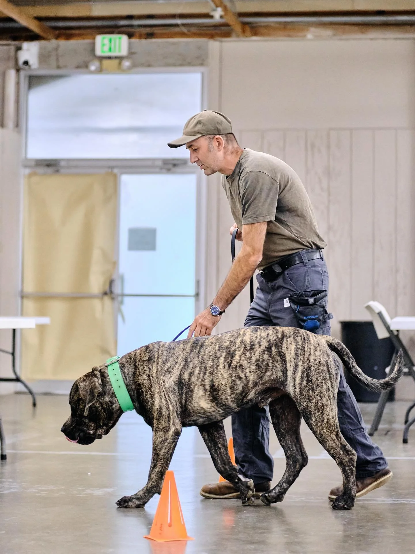 The start of a search! Romboel Vlasic and Brian @ecco_qui_mal !!

Photographer @campfiredogphotography