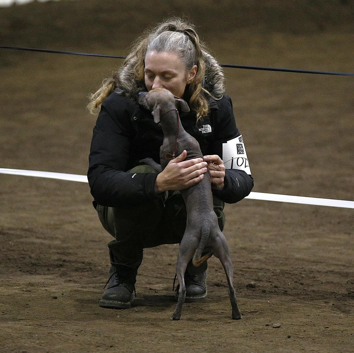 Kisses during Novice BIS puppy ring with Baz.

Photography by Doug Broussard