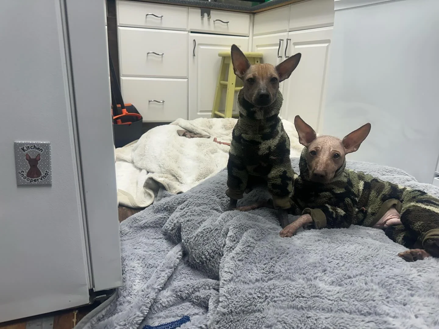 The bestest Christmas gifts!! 🥰🥰.