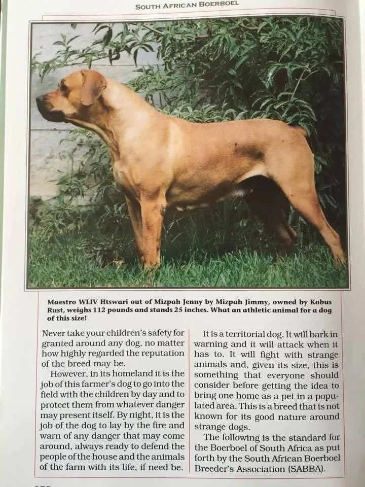 Some historical records of the Boerboel
