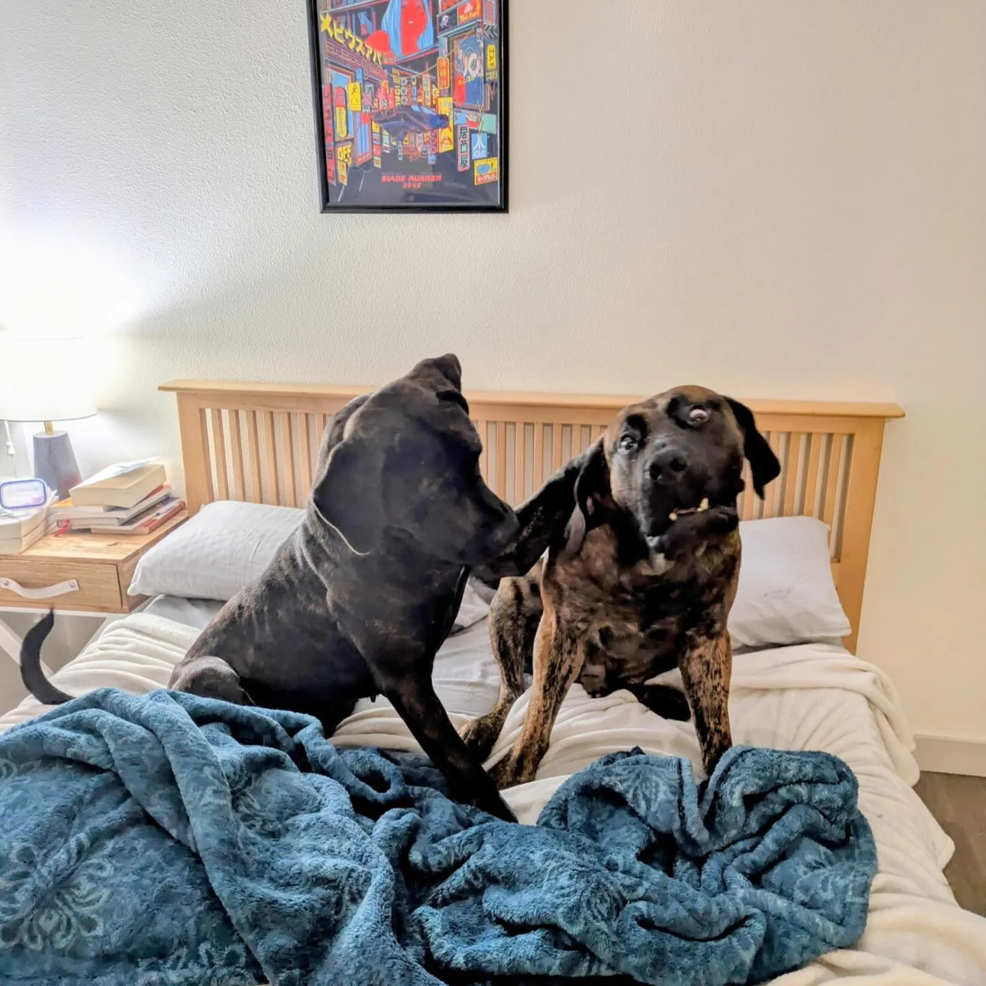 Azar mama phone turned this picture of Azar &amp; Woody into a cartoon! I am dying 🤣🤣🤣🤣