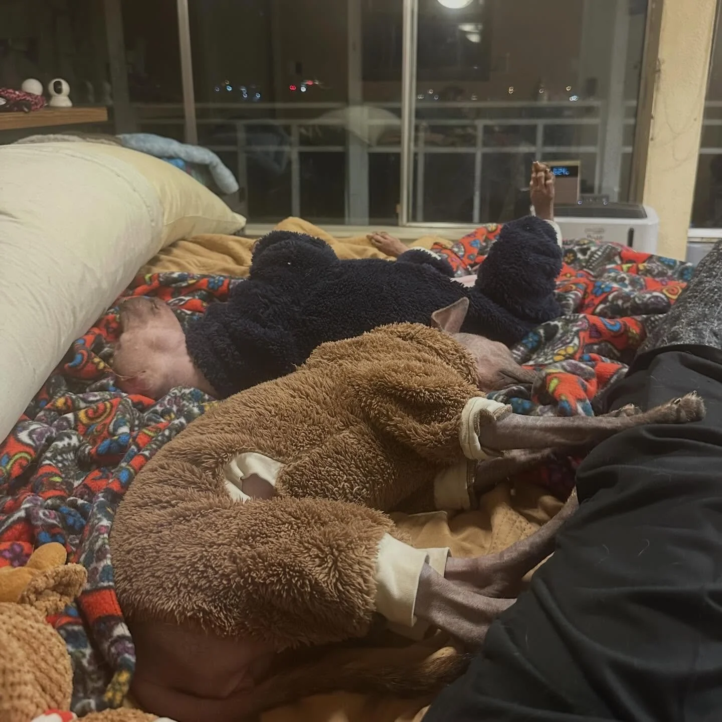 every night vibes is what you see here 🤪