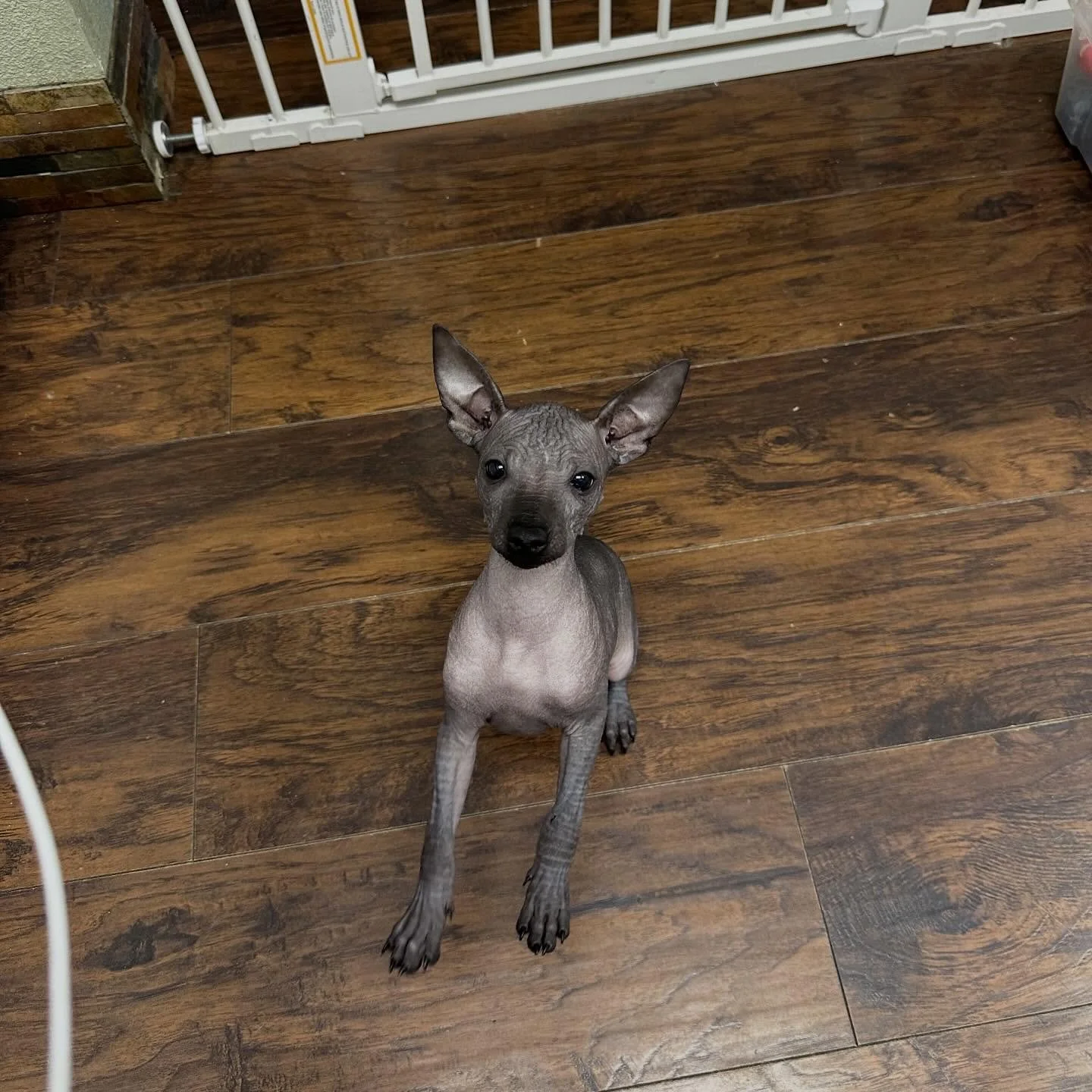 How life is going :)