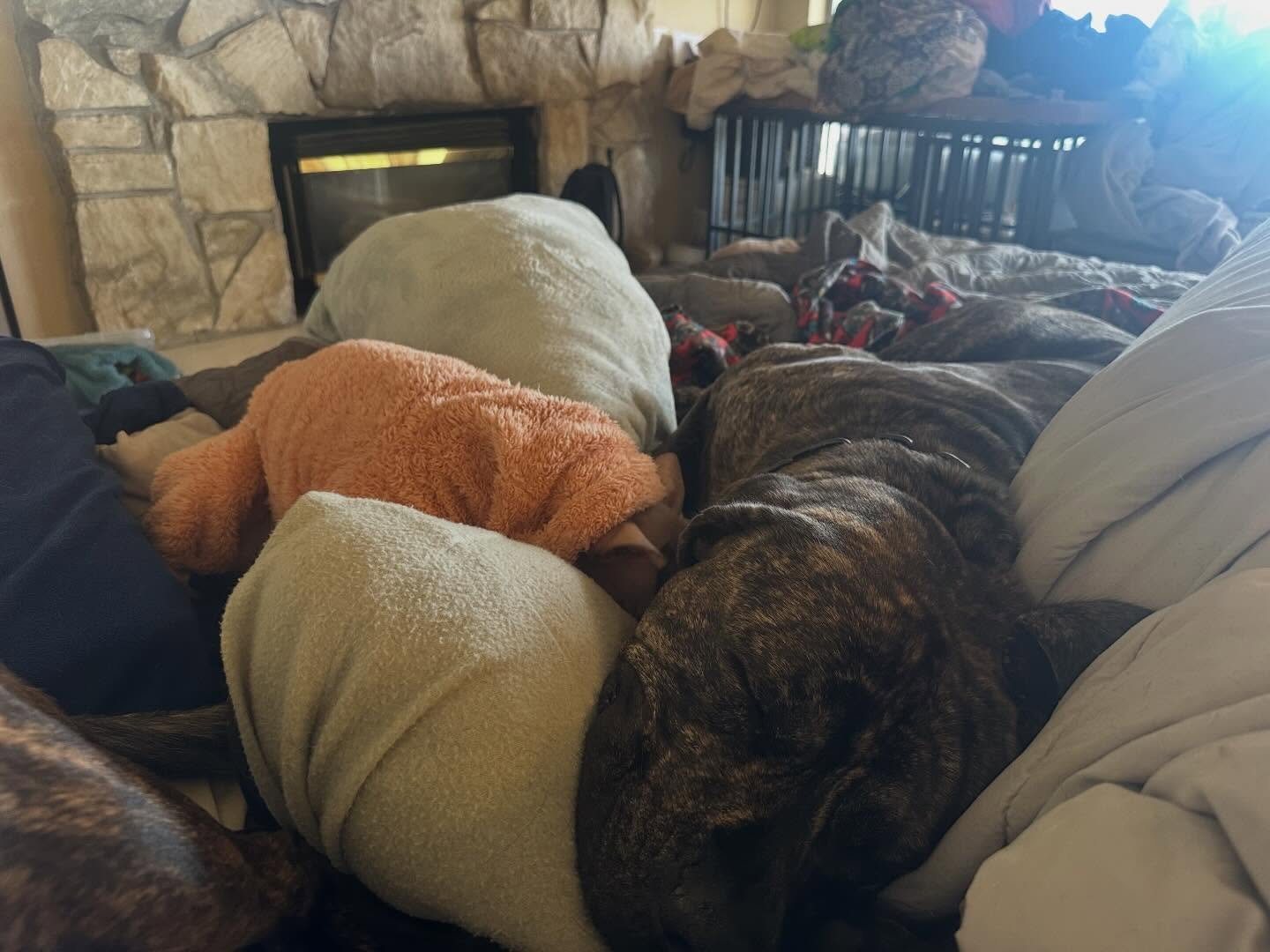 The boys Vlasic and Tommy