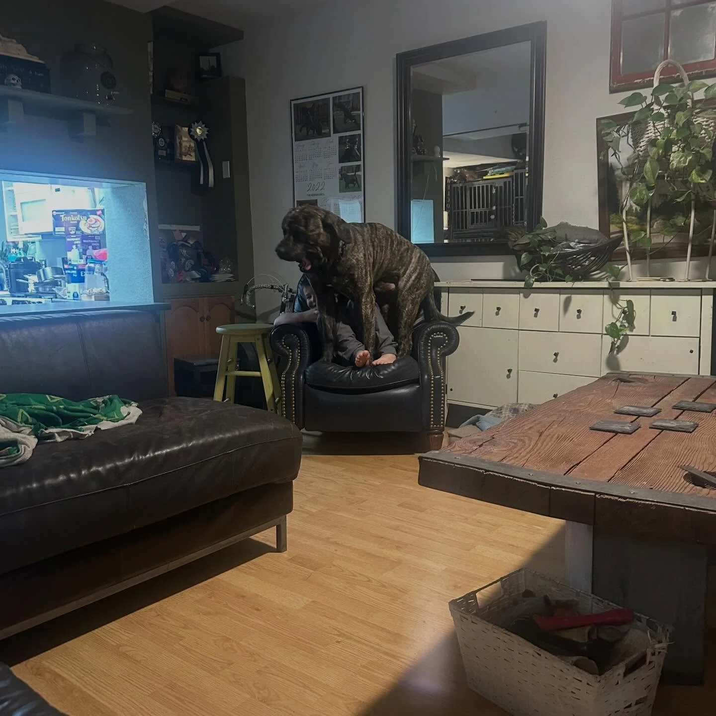 I think Vlasic and Vinci love Budd 💓🤣