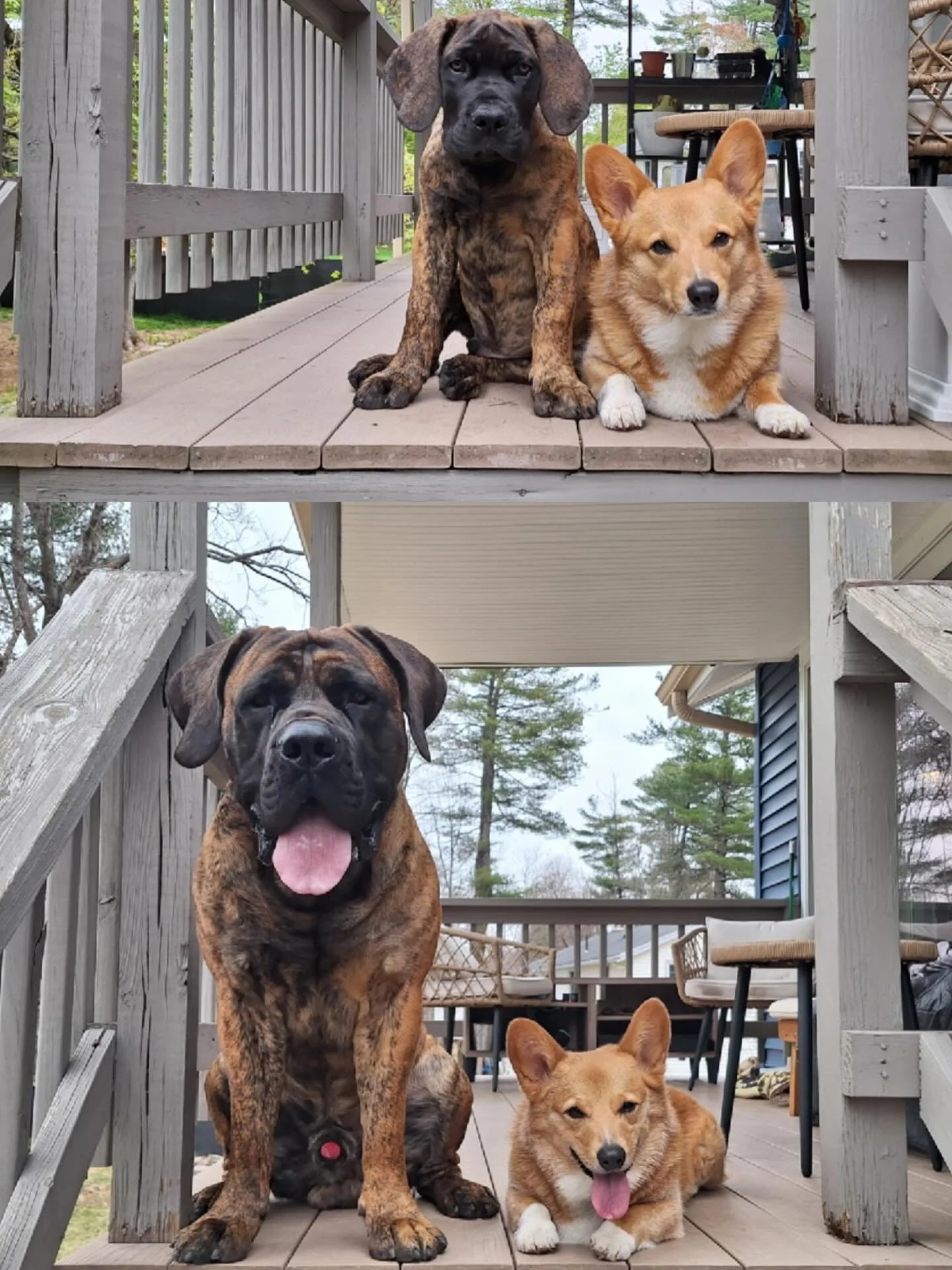 Romboel Milton and his brother Ein. Two years apart 💓