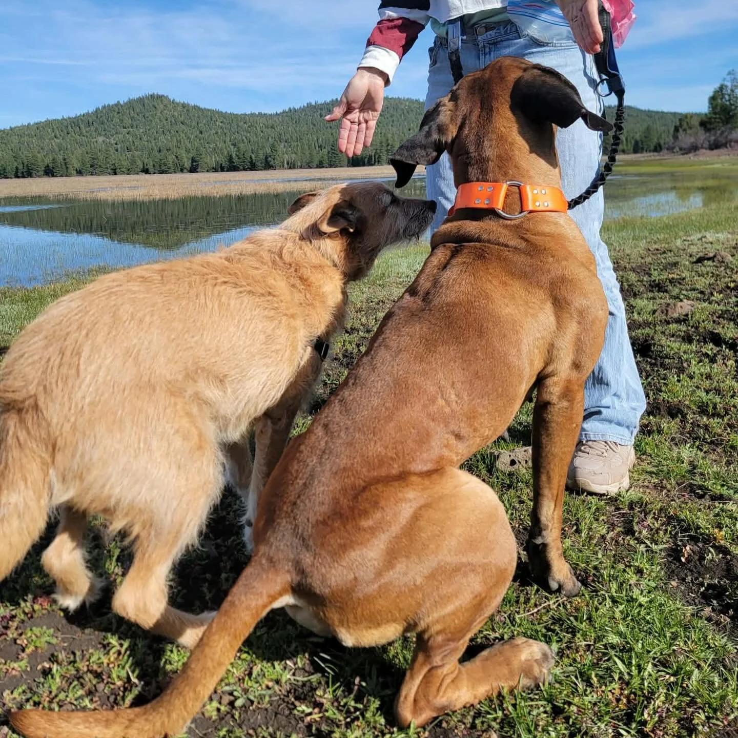 Braekhus on her 8 mile hike 💓