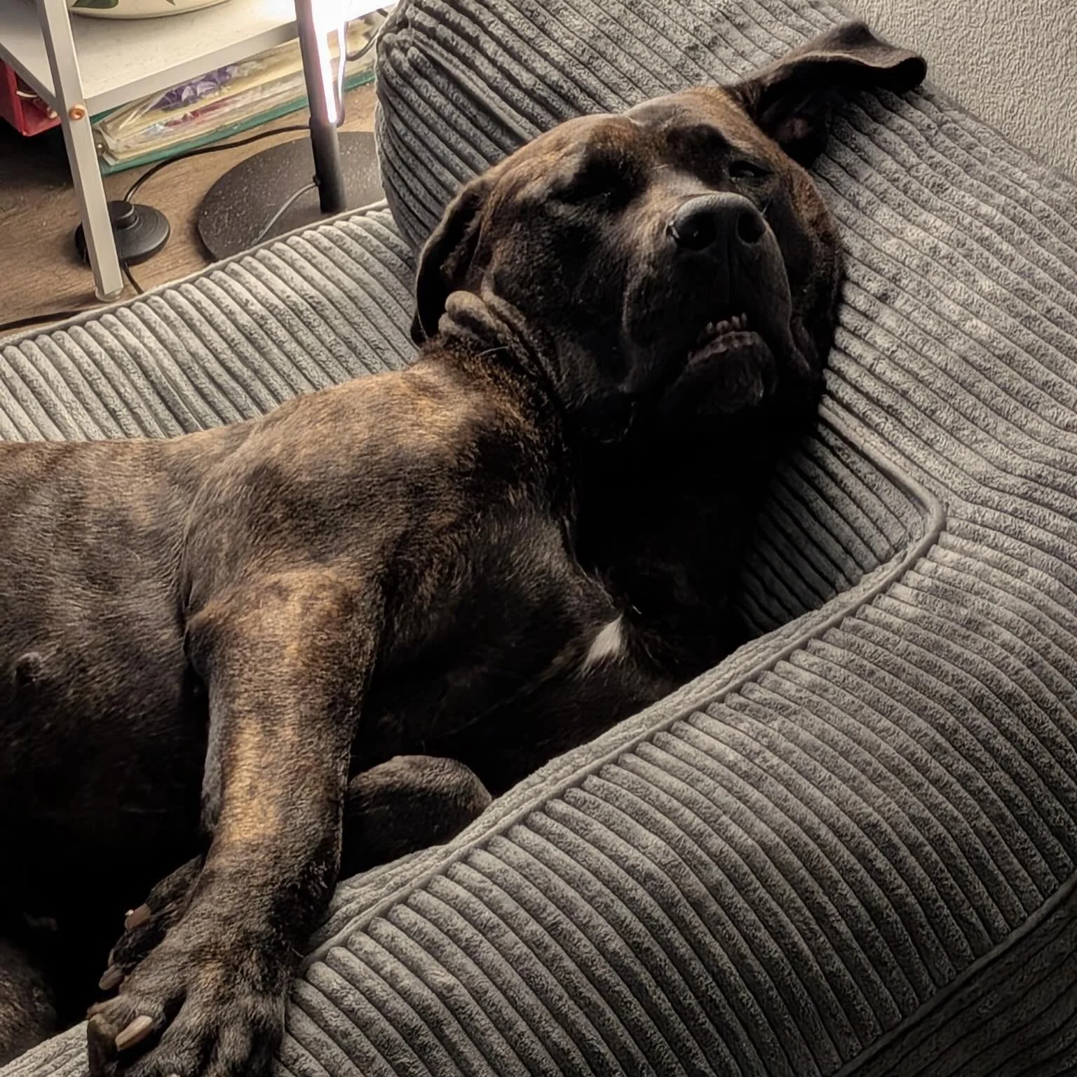 Azar is happy to be back home with her mother 🤣