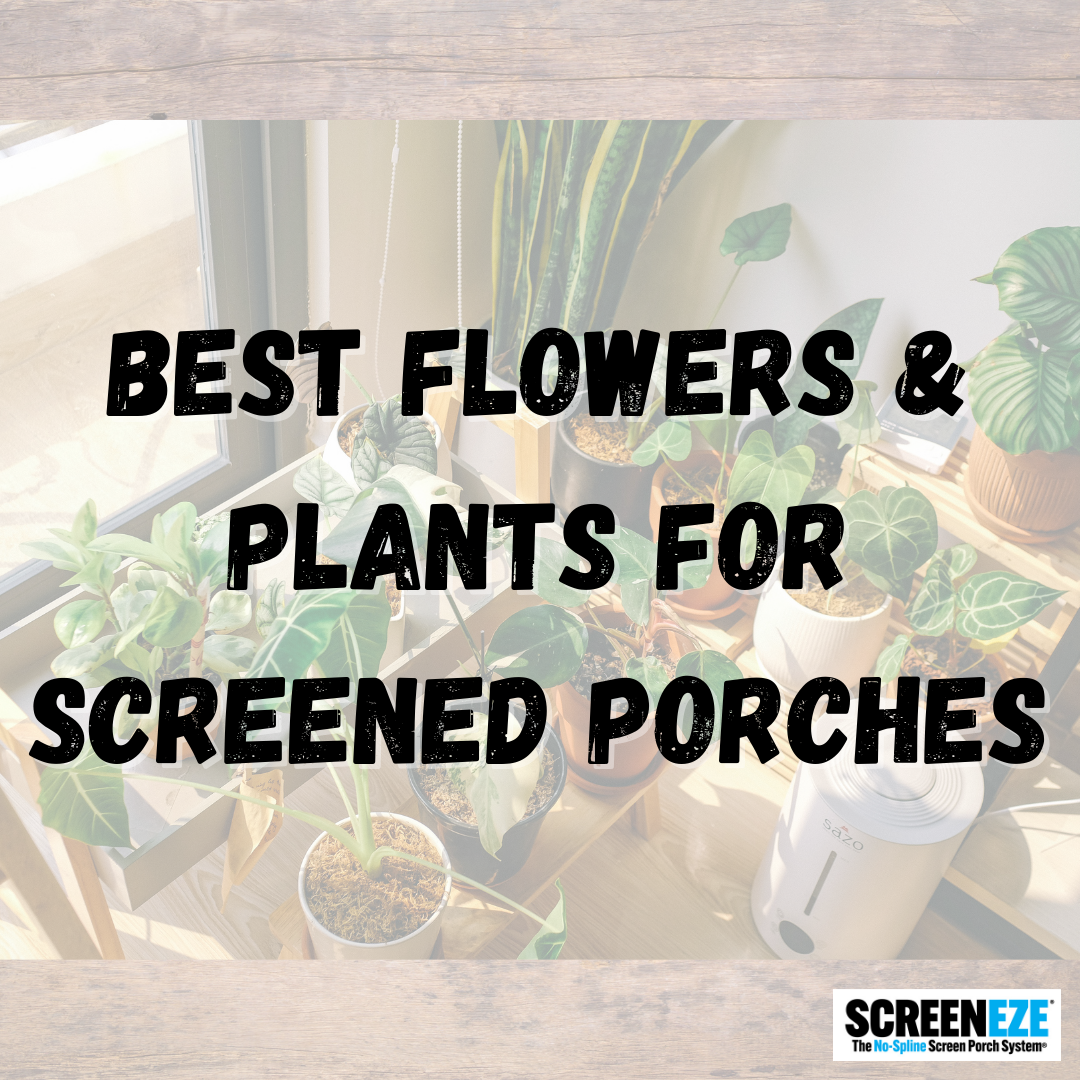 Best Flowers &amp; Plants for Screened Porches