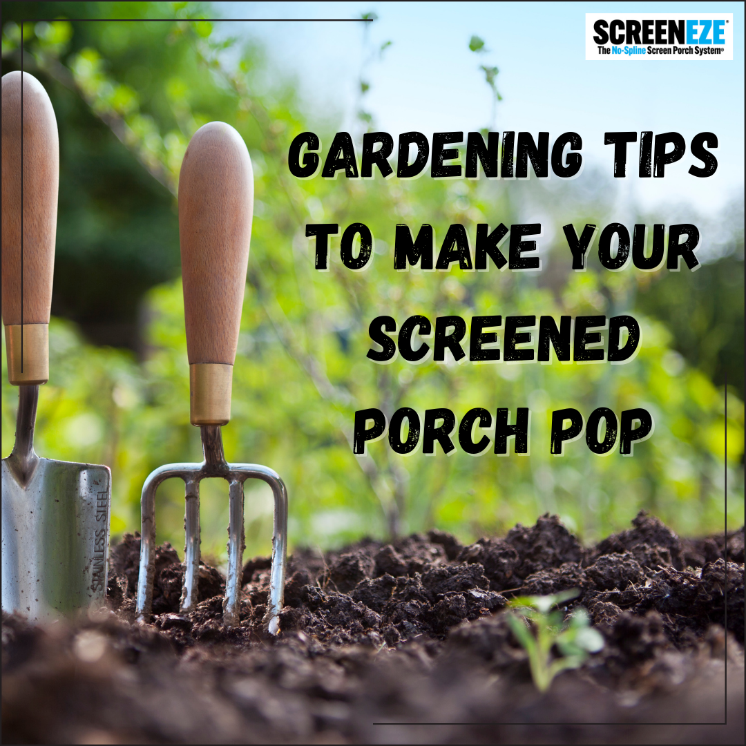 Gardening Tips to Make Your Screened Porch Pop