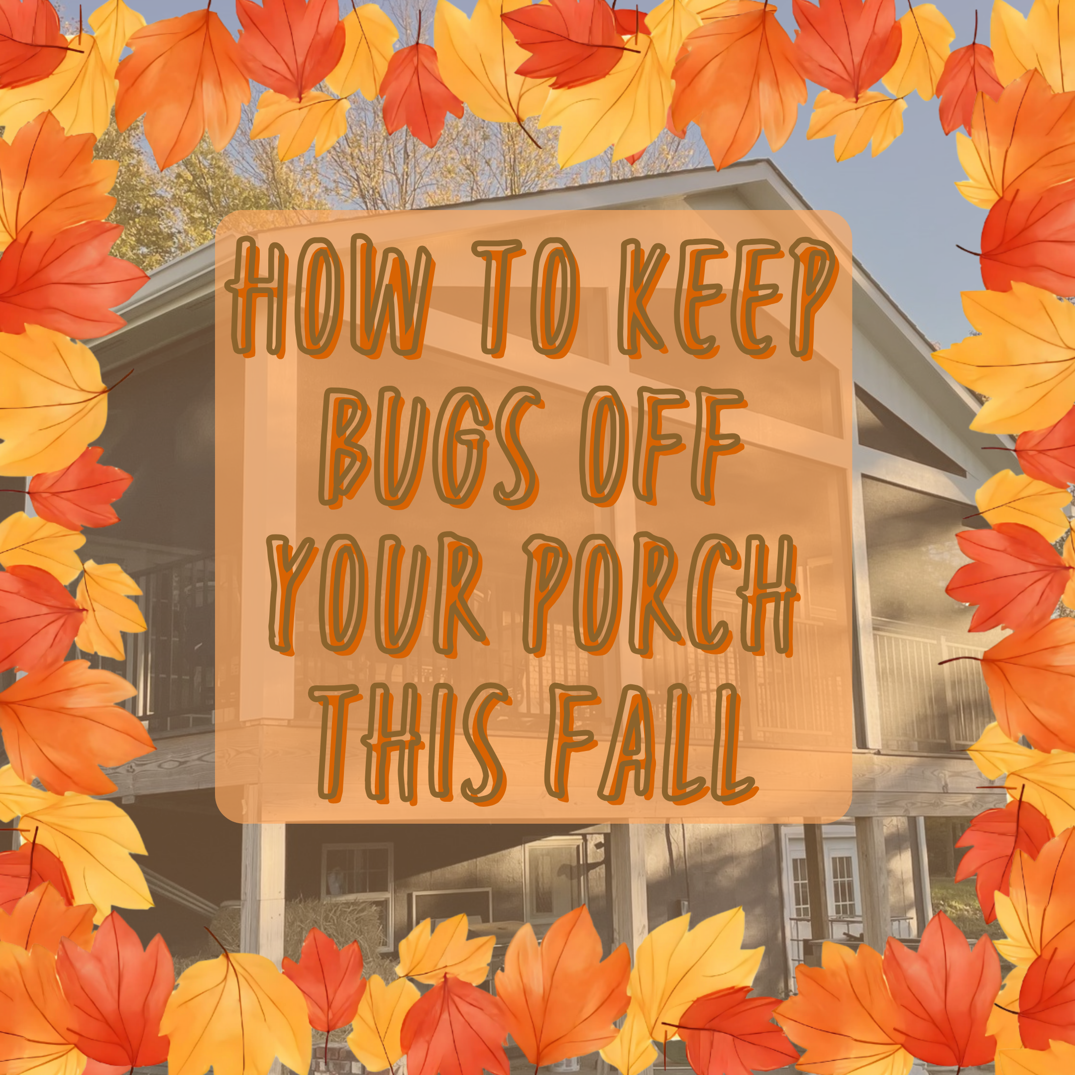 How to keep bugs off your porch this fall&nbsp;