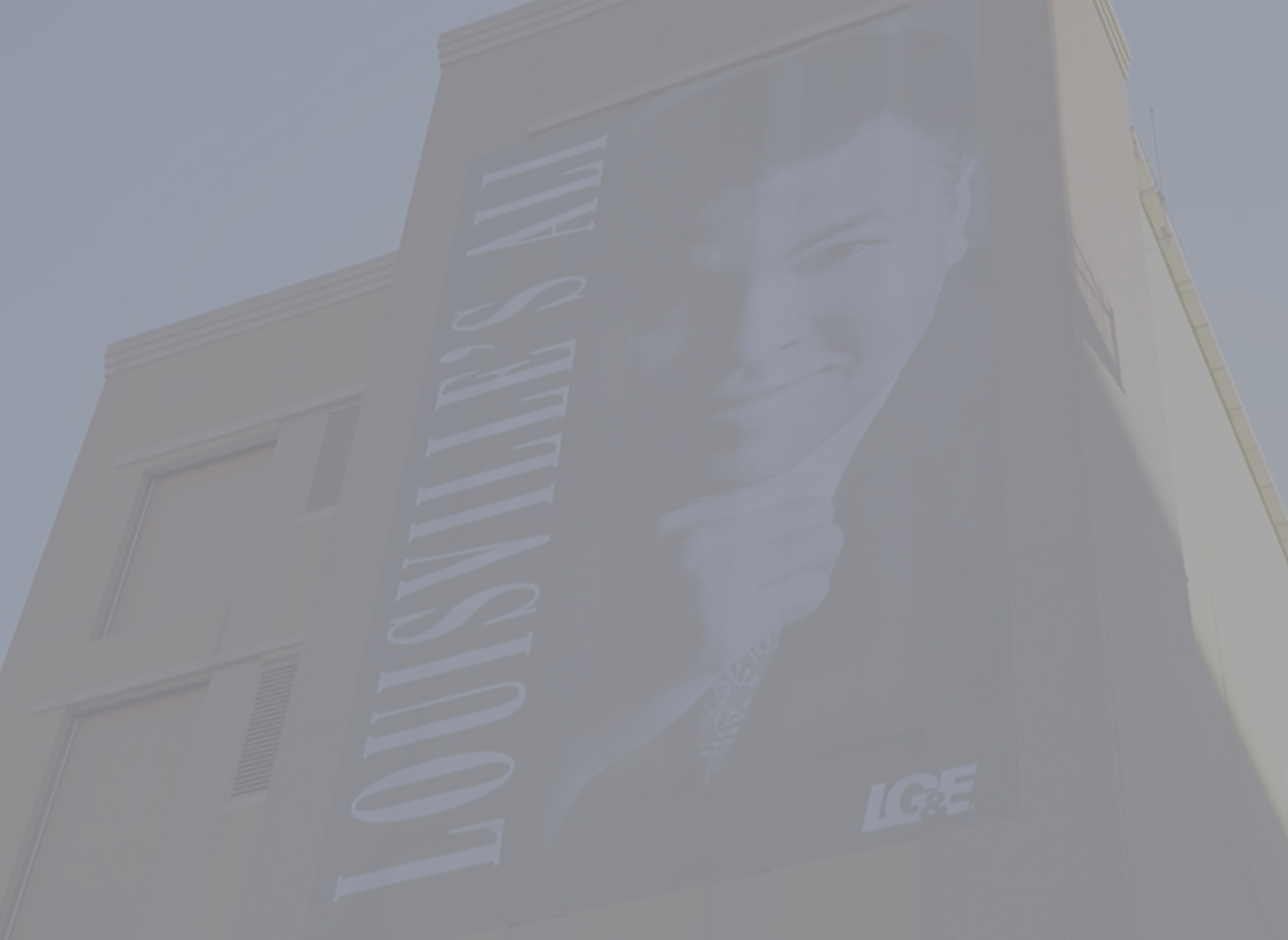 nonprofit-ali-center.png