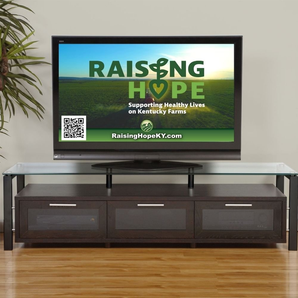 Raising Hope Connected TV Ads.jpg