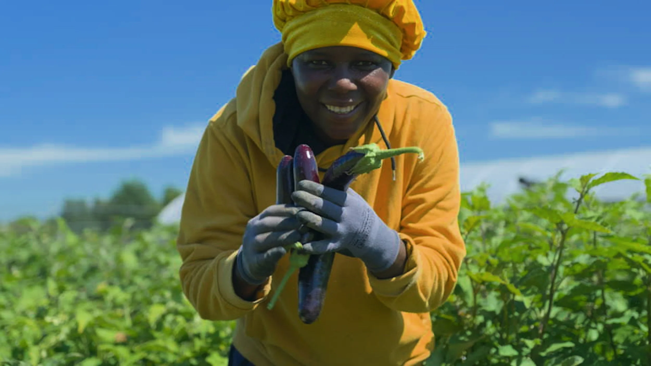 02_HAPPINESS FAMILY FARMS BROLL.00_30_47_09.Still022.jpg